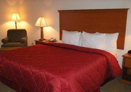 Quality Inn & Suites Near Amish Country Rushville Room photo